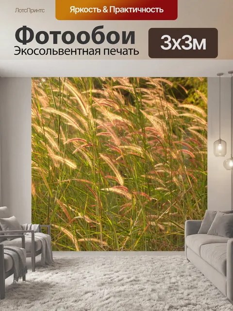 Фотообои Цветки одичалые Стоковая Фотография