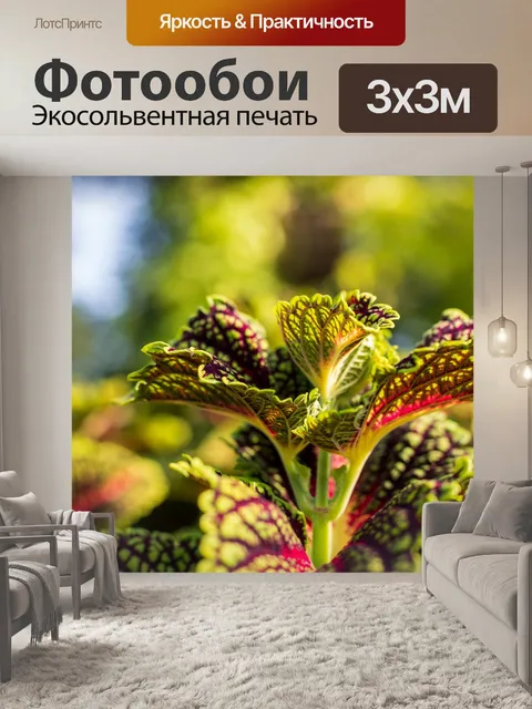 Фотообои Листья
