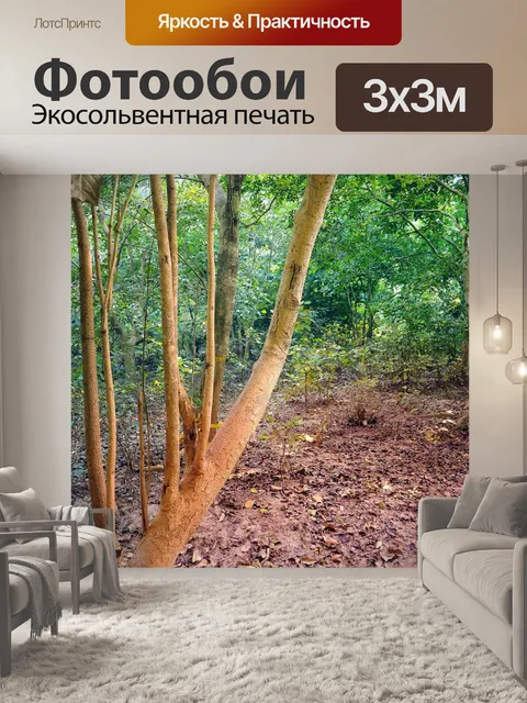 Фотообои Деревья и листья 37