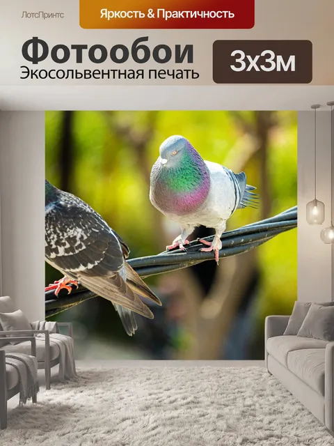 Фотообои Птицы