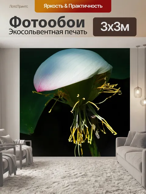 Фотообои Лотос