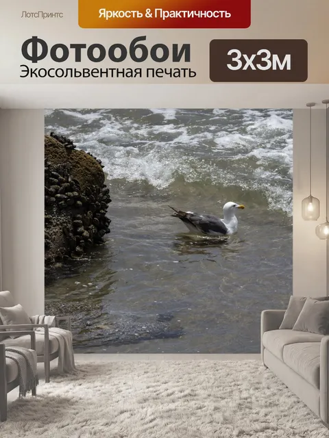 Фотообои чайка