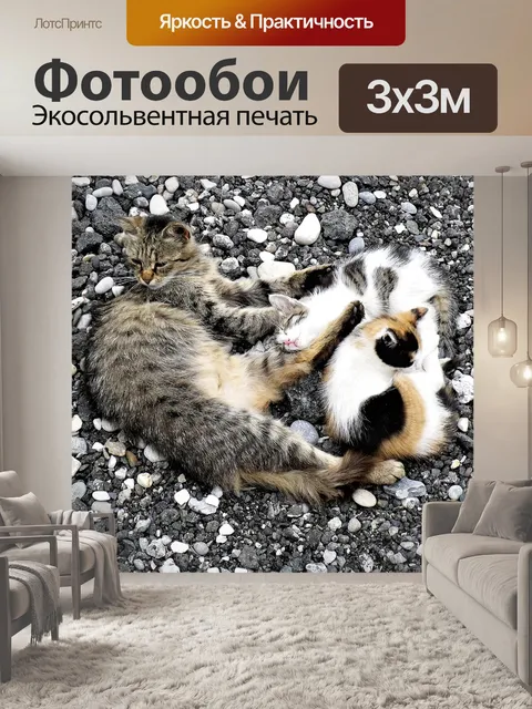 Фотообои Кошки