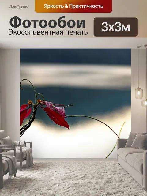 Фотообои Цветок