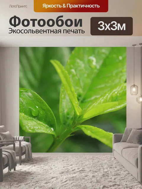 Фотообои Дождь