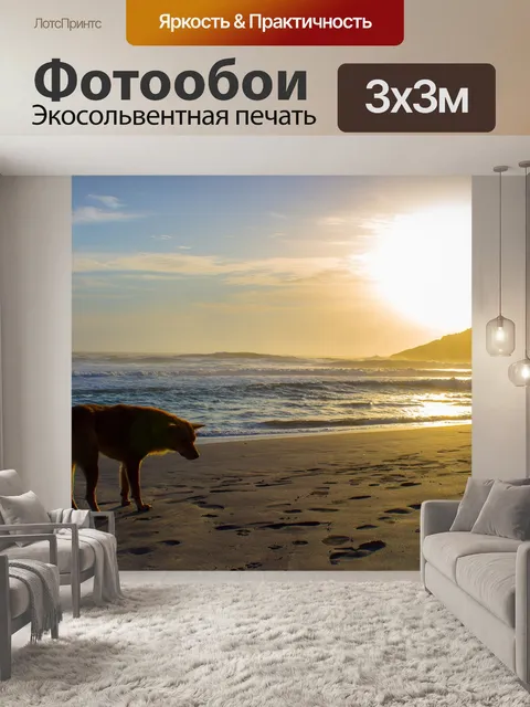 Фотообои Собака