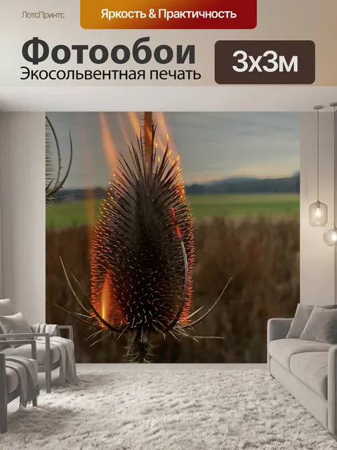 Фотообои Пожар