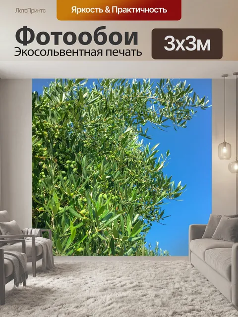Фотообои Ветви оливкового дерева