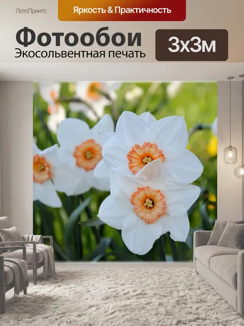 Фотообои Цветы