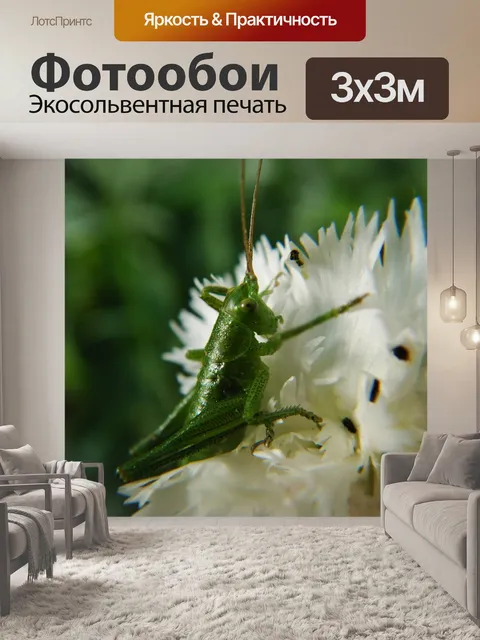 Фотообои Природа