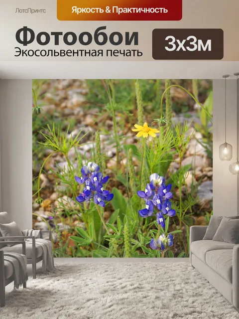 Фотообои Полевые цветы