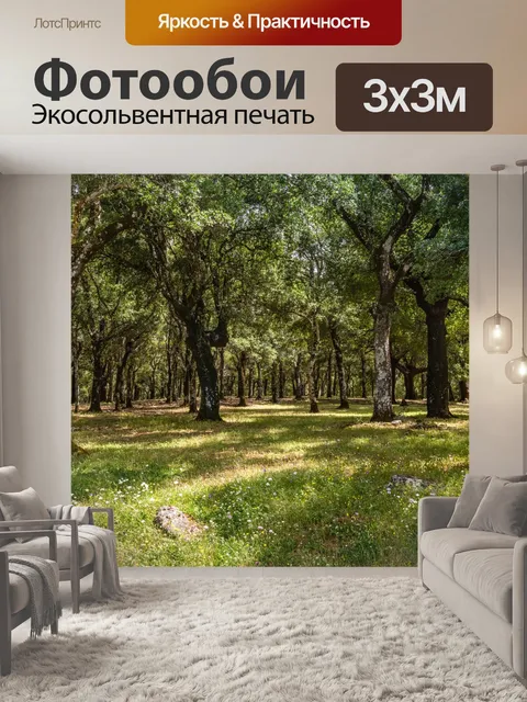 Фотообои Деревья