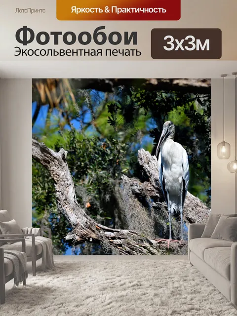 Фотообои Деревянный аист