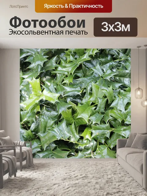 Фотообои Город хуаншань