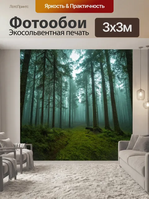 Фотообои лес с туманными пейзажами, где мечты становятся реальностью