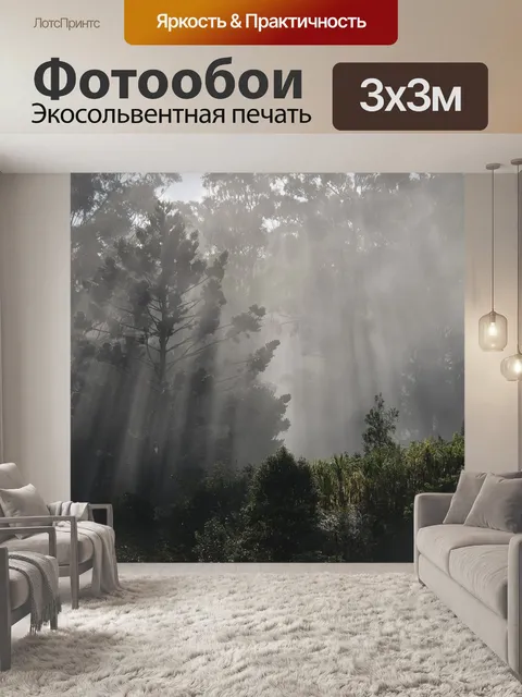 Фотообои Туман