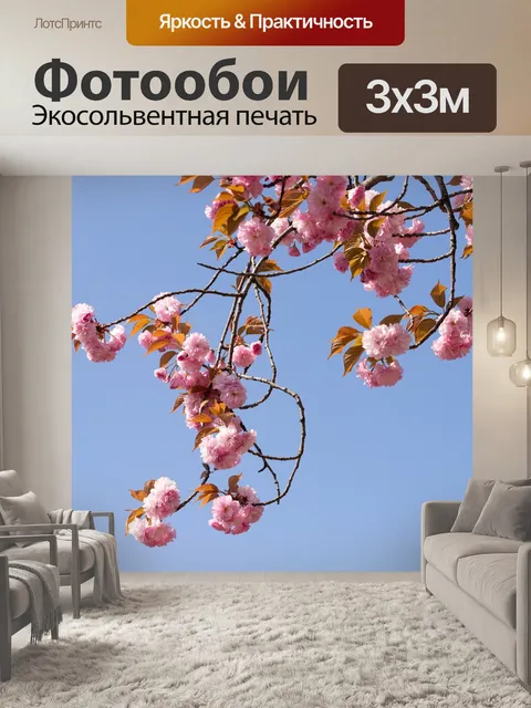 Фотообои Цветение вишни