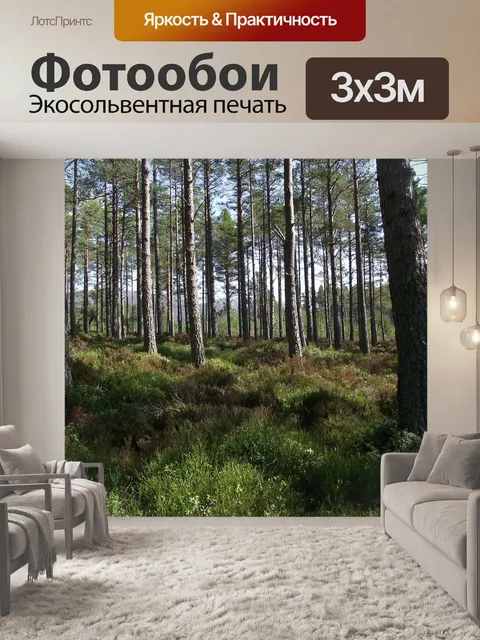 Фотообои Лес