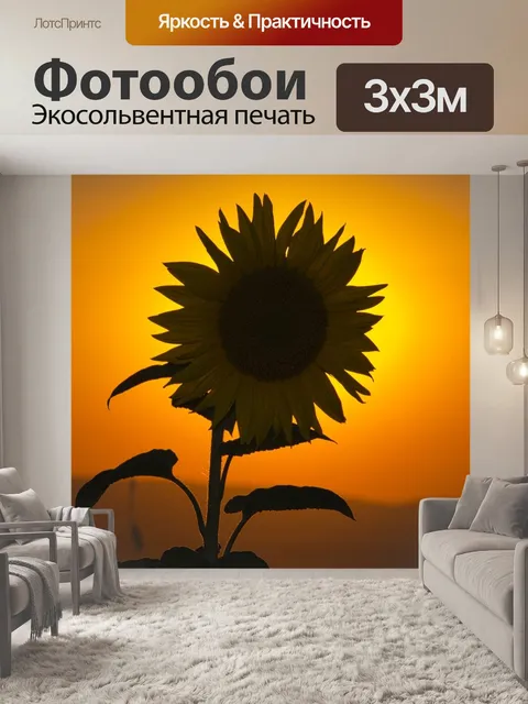 Фотообои Подсолнух