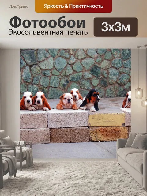 Фотообои Собаки