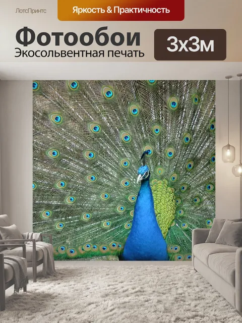 Фотообои Павлин