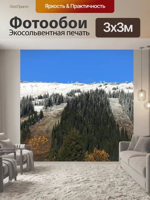 Фотообои Снег