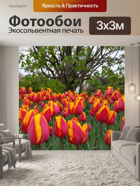 Фотообои Природа