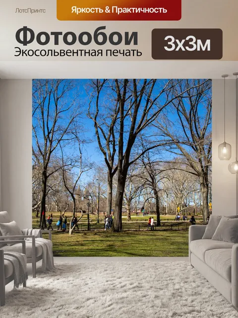 Фотообои Центральный парк, Нью-Йорк
