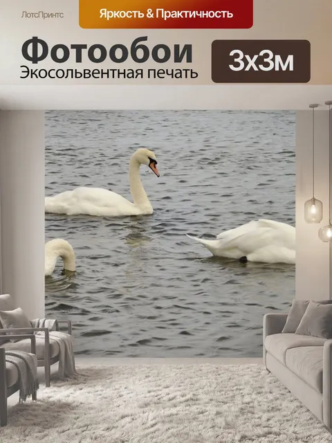 Фотообои Лебеди