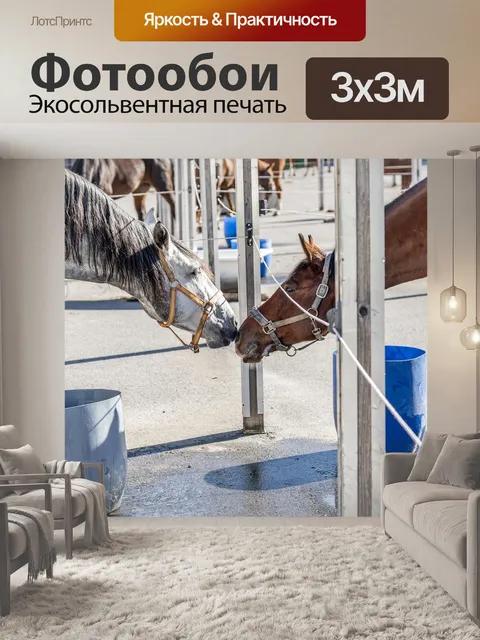 Фотообои Лошадь