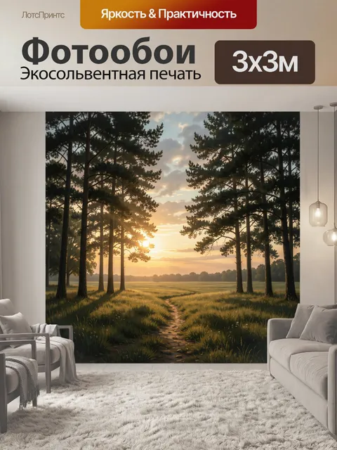 Фотообои Сосновая роща на закате