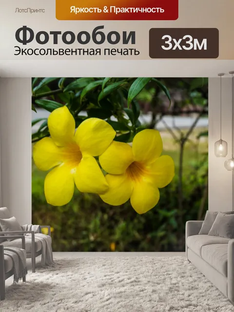 Фотообои Цветы