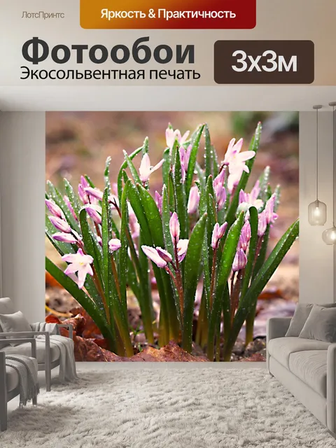 Фотообои Цветы