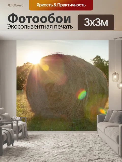 Фотообои Поля