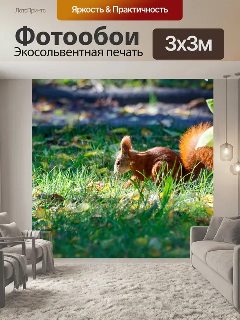 Фотообои Белка в саду