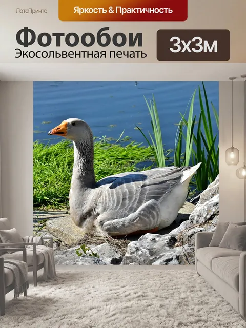 Фотообои Гусь