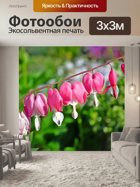 Фотообои Сердца