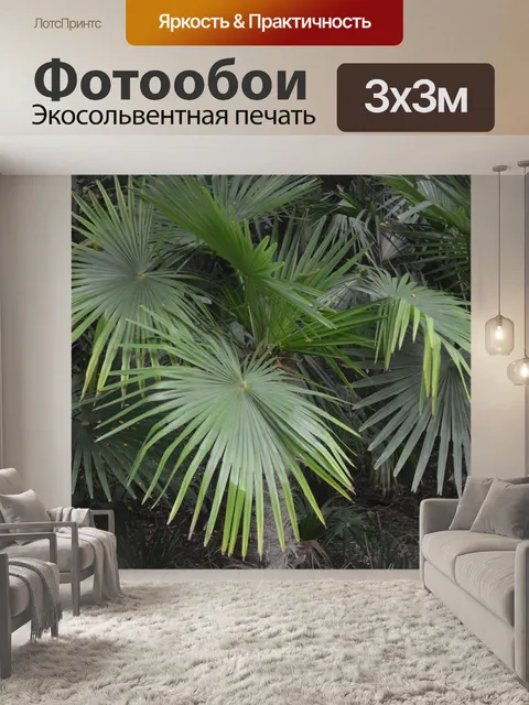 Фотообои Пальмовые листья