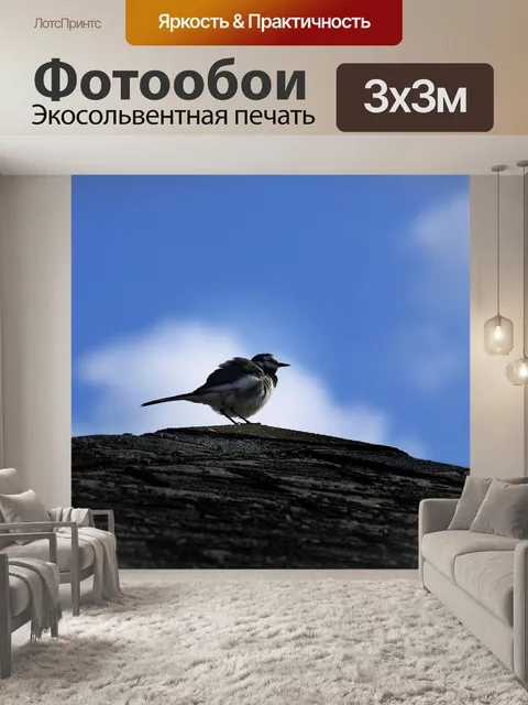 Фотообои Животное
