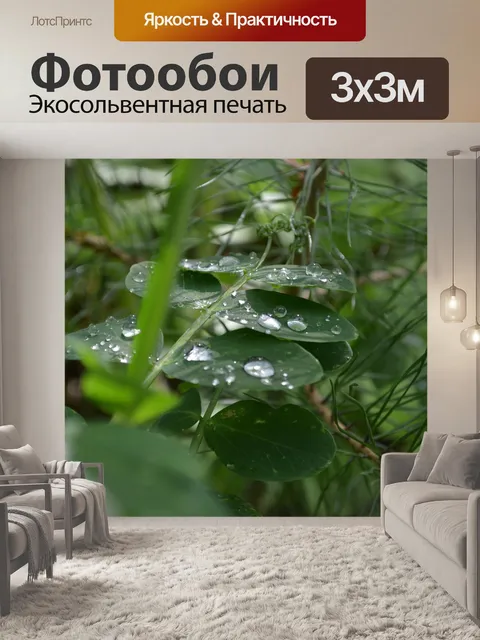 Фотообои Трава