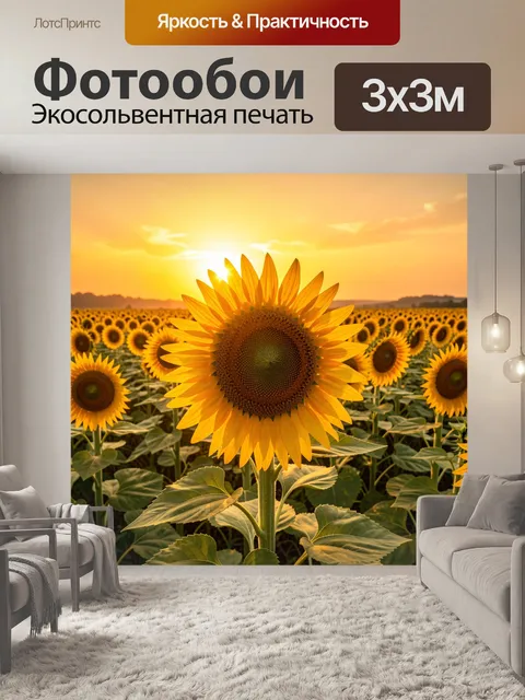 Фотообои Подсолнухи на закате