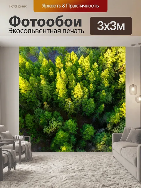 Фотообои Вид с воздуха на вершинах деревьев