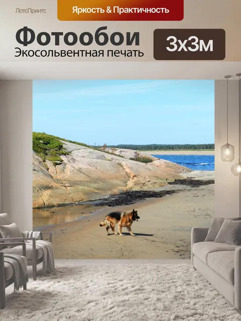 Фотообои Немецкая овчарка на пляже