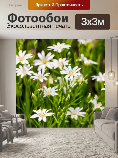Фотообои Цветы