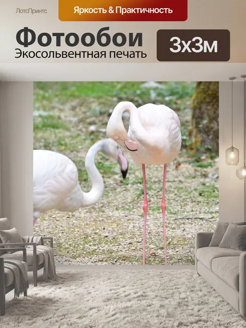 Фотообои Фламинго