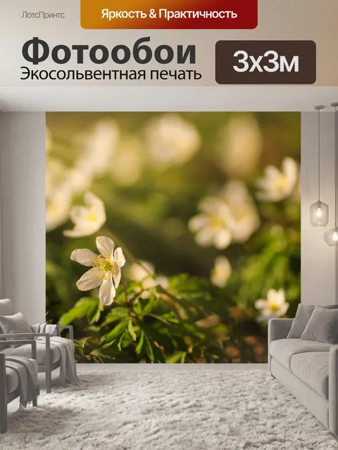 Фотообои Древесные анемоны