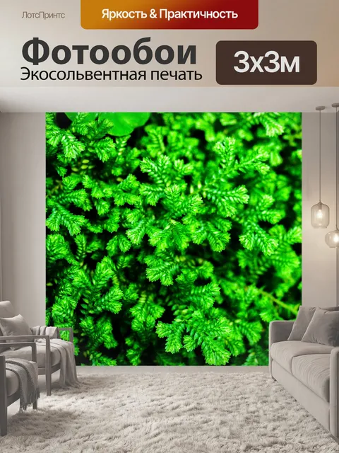 Фотообои Фон из листьев папоротника