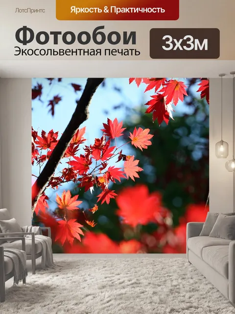 Фотообои Осенние листья