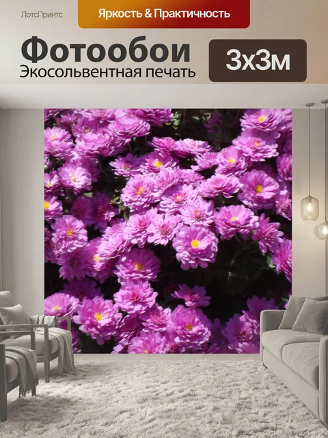 Фотообои Хризантемы Цветы Pattern