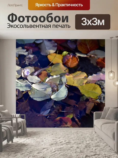 Фотообои Плавающие листья